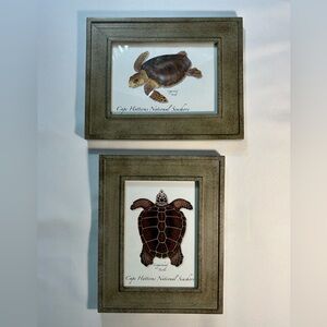 Sea Turtle Framed Art Set of 2 9.75" x 9.75" x .5" Excellent Condition
